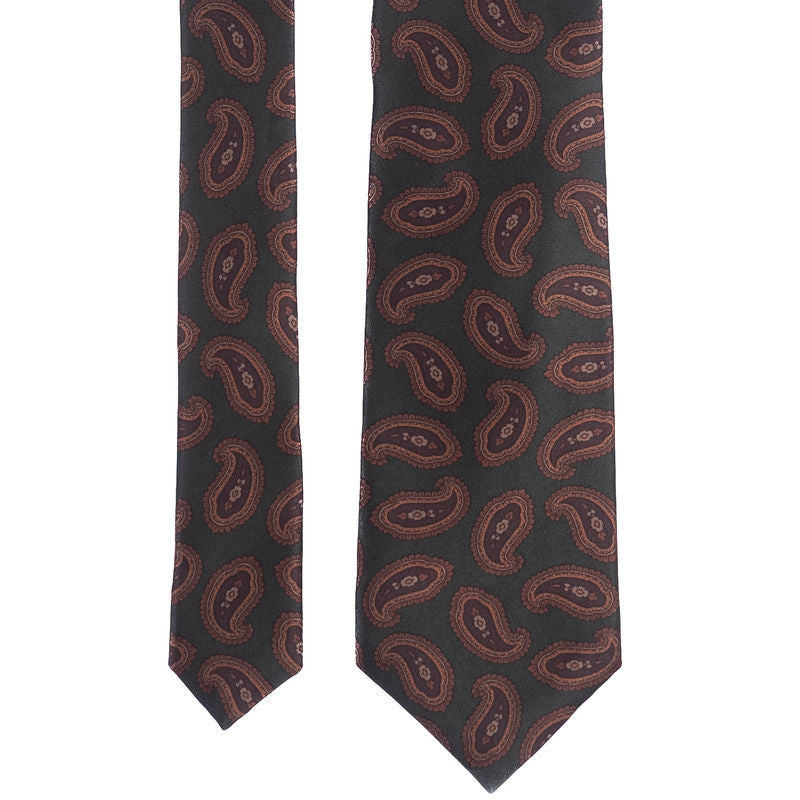 Green Paisley Ties Neckwear